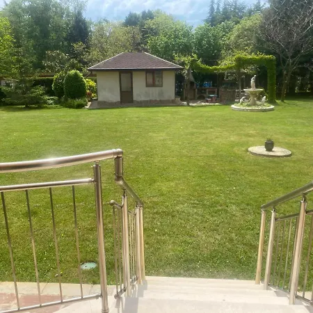 Excelsior Saints Constantine and Helena